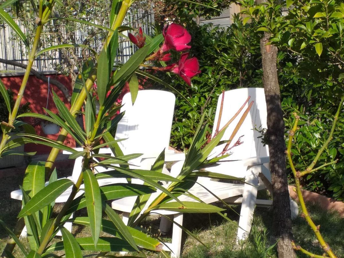 Bed & Breakfast La Rosa Rossa Cagli Exterior photo